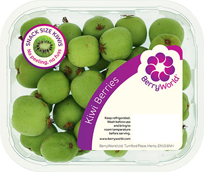 Kiwi Berries 