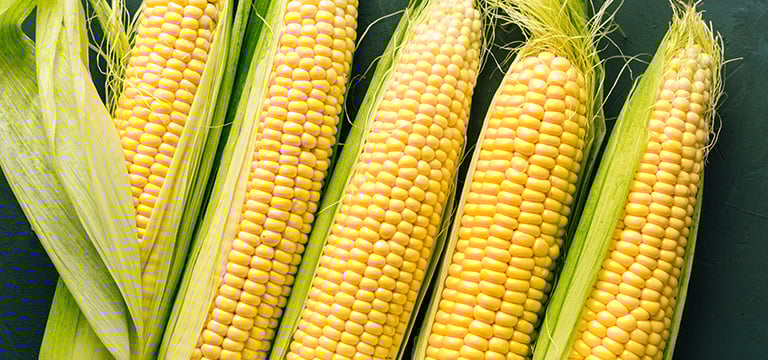 Article Header Image