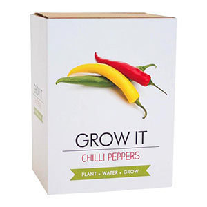 Chillies.jpg