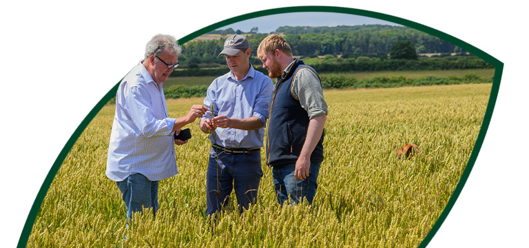 British Farmers in field