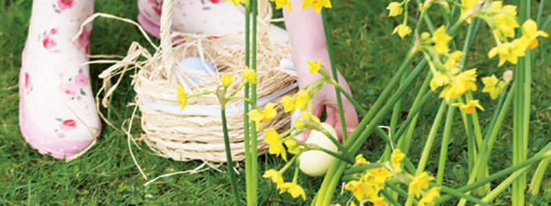 Easter Hunt Ideas 1