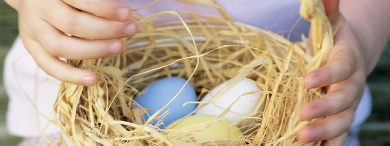 Easter Hunt Ideas Basket