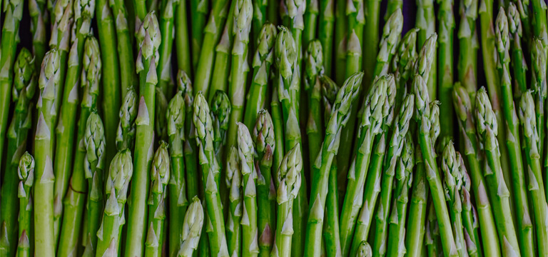 Article Header Image