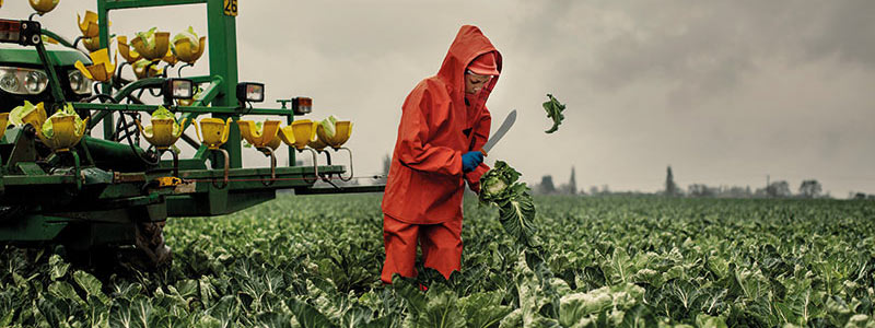 Morrisons Greengrocers on Market St - Morrisons